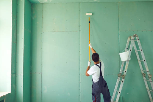 Professional Mold Removal in Cascade Chipita Park, CO