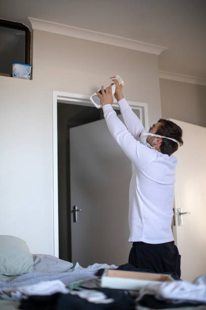 Best Water Damage & Mold Remediation  in Cascade Chipita Park, CO