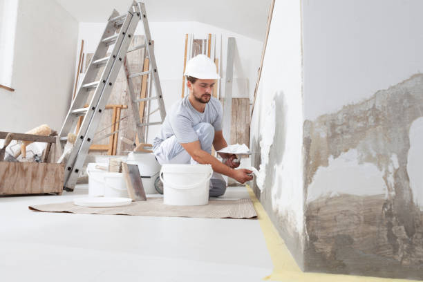 Best Attic Mold Removal  in Cascade Chipita Park, CO