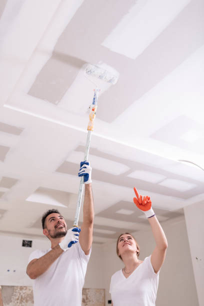 Trusted Cascade Chipita Park, CO Mold Removal Experts