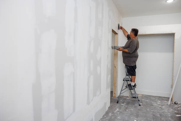 Best Mold Remediation for Healthcare Facilities  in Cascade Chipita Park, CO